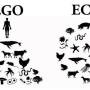 France - Ego - Eco