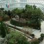 Singapour - Flower Dome