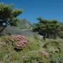 Japon - Parc National de Kirishima