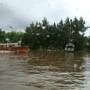 Argentine - balade en bateau bus sur le tigre