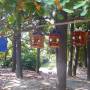 Chine - vie de SH
