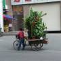 Chine - transport en 2 roues