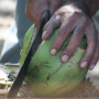 Nouvelle-Calédonie - découpage de fresh coconut