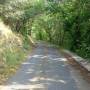 France - pont de verdure route des cretes Vialas