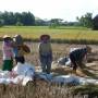 Indonésie - rice field workers