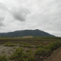 Nouvelle-Calédonie - la mangrove