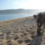 Indonésie - plage de Kuta