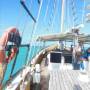 Australie - Plongée dans la Grande Barrière de Corail