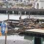 USA - Pier 39
