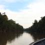 Malaisie - La rivière Kinabatangan est la plus longue de Sabah couvrant une longueur totale de 560km.