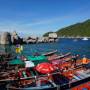 Thaïlande - Ile de Nang Yuan