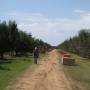 Australie - 