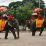 Thaïlande - Balade en éléphants