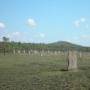 Australie - cimetière?