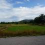 Thaïlande - Route au milieu des rizières