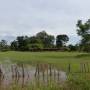 Laos - Ecole sous l