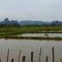 Laos - Paysage autour Thakhek 