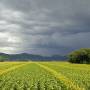 France - promesse d orage