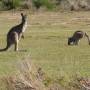 Australie - Wilson Promotory National Park