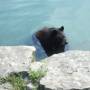 Canada - 