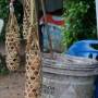 Thaïlande - Oeuf à cuire dans la source chaude