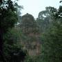 Cambodge - 