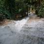 Laos - Cascade de Kuang Si