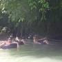 Laos - Water Cave