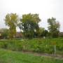 Canada - Le vignoble des Côtes d