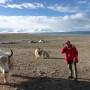 Chine - Namtso Lac
