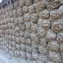 Chine - bouses a Zedang