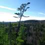 Canada - Promenade Mont  Sugar Loaf