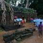 Cambodge - Ta Prohm