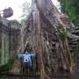 Cambodge - Ta Prohm