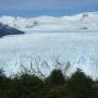 Argentine - 