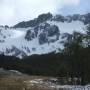 Argentine - 