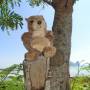 Thaïlande - 