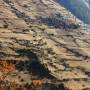 Népal - village Nepalais
