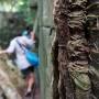 Cambodge - Beng Mealea