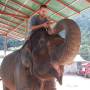 Thaïlande - Yohann donne à manger à son pote