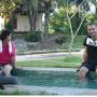 Thaïlande - sources thermales