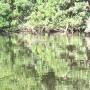 Mexique - 
