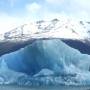 Argentine - 