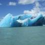Argentine - 
