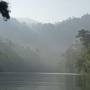 Thaïlande - Khao Sok national park : jungle