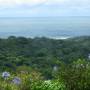 Afrique du Sud - 