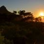 Afrique du Sud - 