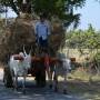 Inde - 