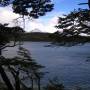 Argentine - parque Tierra Del Fuego