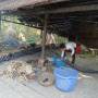 Cambodge - 
